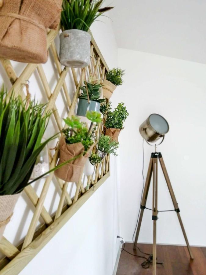 Ladeira Loft - Sea View In The City Center Πόντα Ντελγκάντα Εξωτερικό φωτογραφία